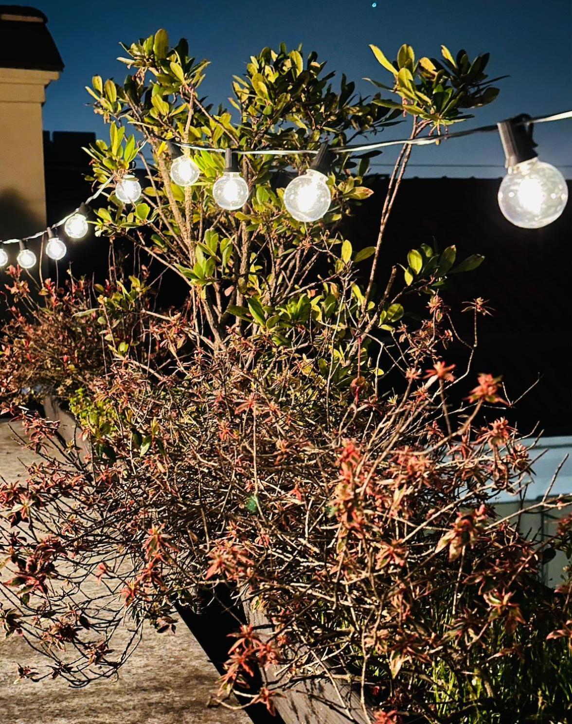 דירות טורינו House With Terrace מראה חיצוני תמונה